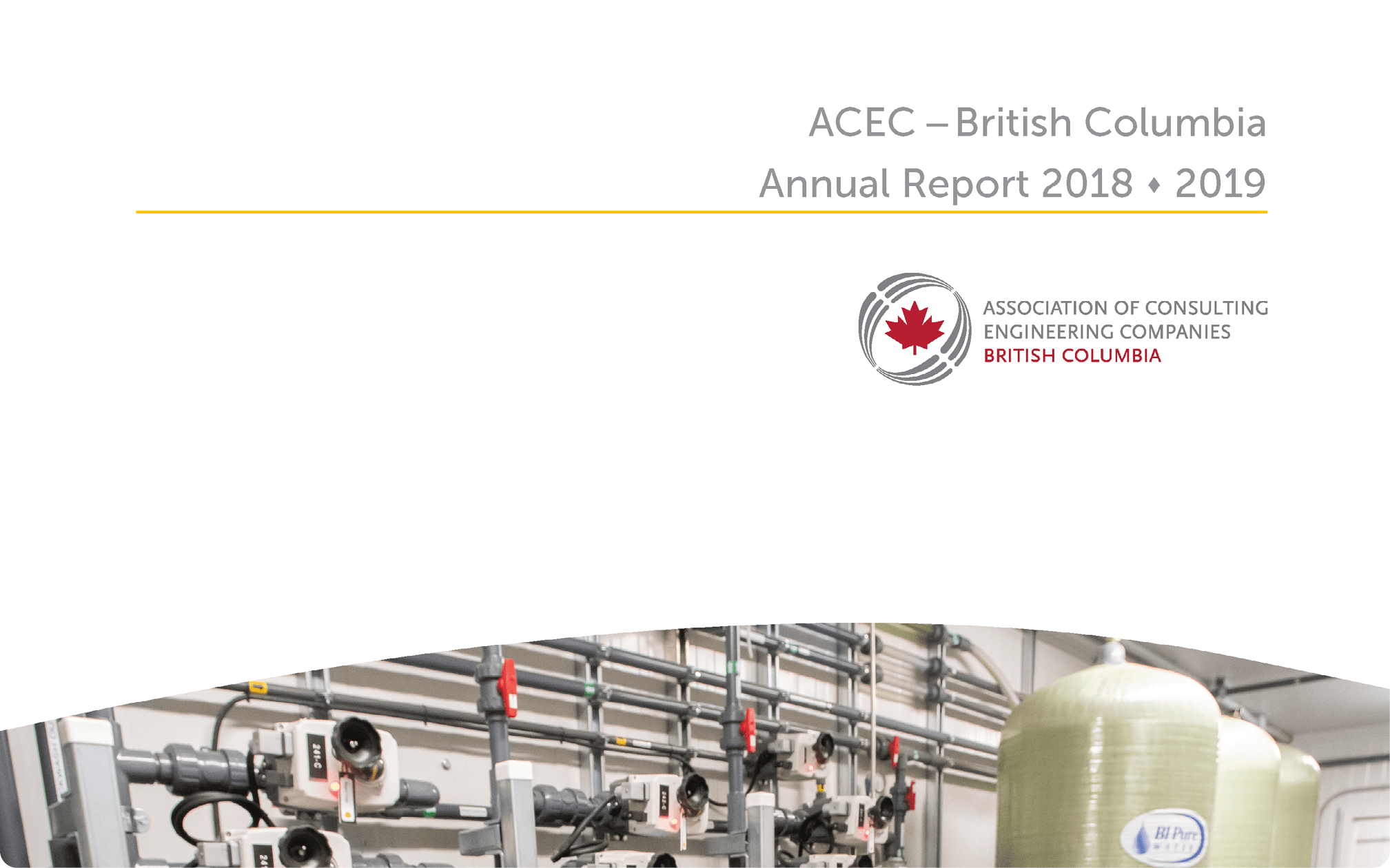 2019 Annual Report