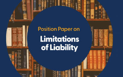 Position Paper on Limitation of Liability