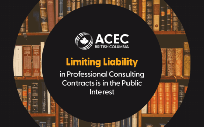 Limiting Liability in Professional Consulting Contracts is in the Public Interest