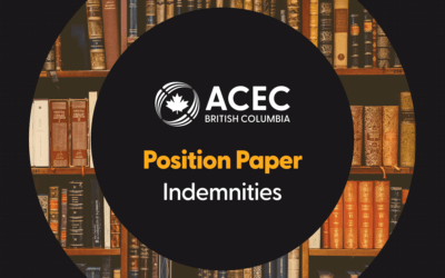 Position Paper: Indemnities