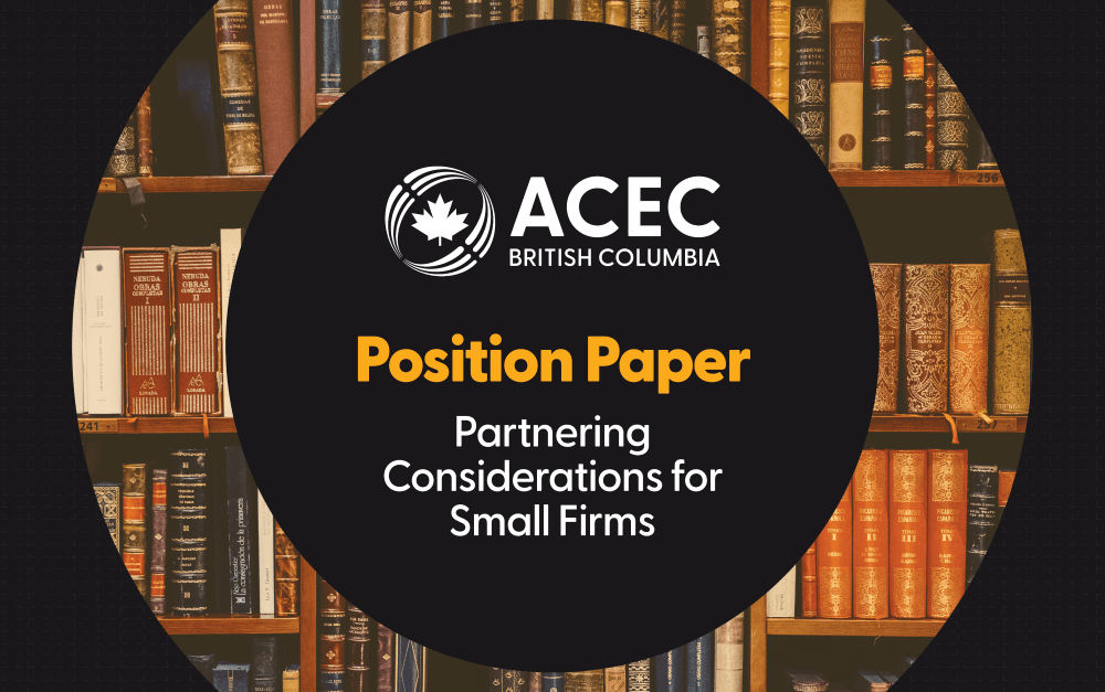 Position Paper: Partnering Considerations for Small Firms